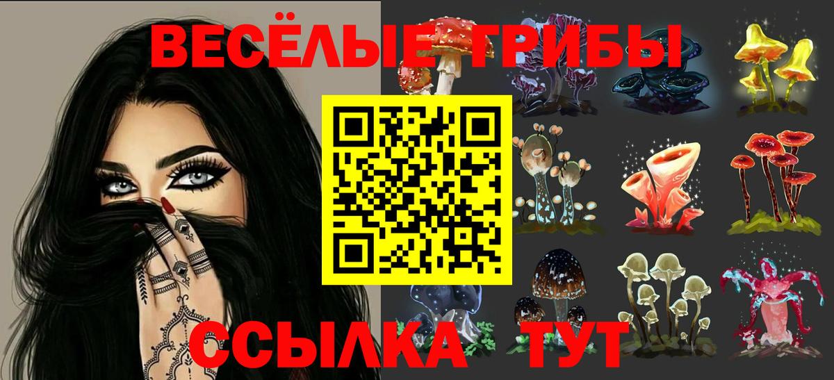 Псилоцибиновые грибы Psilocybine cubensis Александров