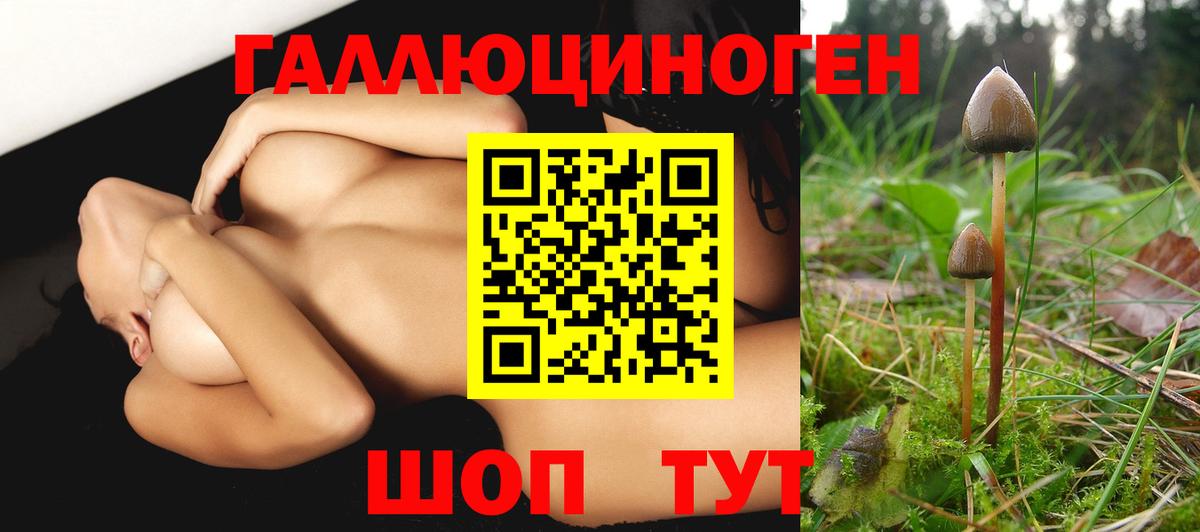 Псилоцибиновые грибы MAGIC MUSHROOMS  Вход с VPN  Александров 