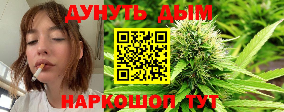 Бошки марихуана OG Kush Александров